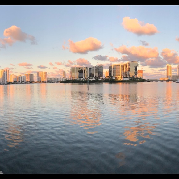 Meet your Posher, Eden - Picture 1 of 1